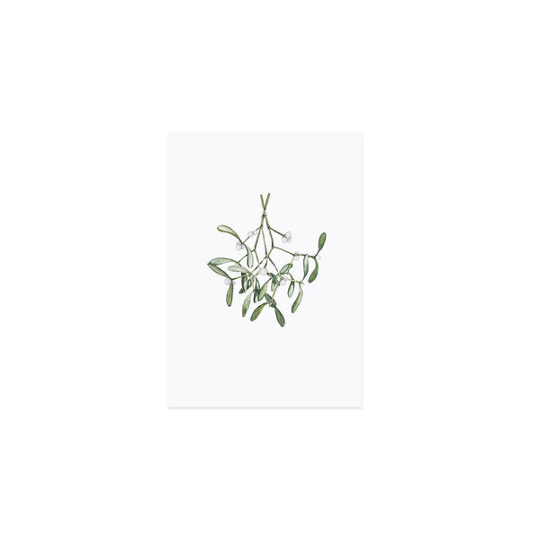 Aquarellkarte Mistletoe von Eulenschnitt